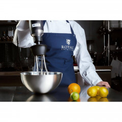 Royal Catering Royal Catering Stabmixer Stabmixer Gastro 500 W Edelstahl Mixer Schneebesen Mixstab 16.000 U, 500 W  Ручной блендер Royal Catering Gastro 500 Вт Миксер из нержавеющей стали Венчик-венчик 16 000 U, 500 Вт
