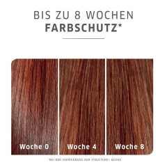Wella Professionals Pre-Color Treatment  Предварительная обработка цветом