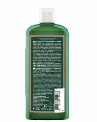 Logona (Логона) Feuchtigkeits-Shampoo Haarshampoo Shampoo, 250 мл
