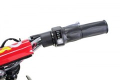 Actionbikes Motors Elektro-Kindermotorrad »Gepard« Электрический детский мотоцикл »Gepard«