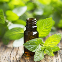 Mylee Nagelhautentferner mit Pfefferminzol  Средство для удаления кутикулы с маслом перечной мяты