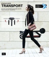 eFlux E-Scooter Lite One E-Scooter Lite One