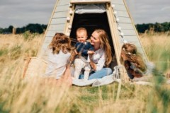 plum Tipi Holz Типи Вуд