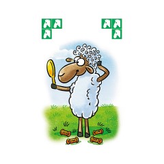 Ravensburger Erster Kartenspass: Kinder Mau-Mau Первая карточная забава: Дети Мау-Мау
