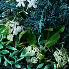 Molton Brown Coastal Cypress &amp; Sea Fennel Bath Salts  Соль для ванн с прибрежным кипарисом и морским фенхелем