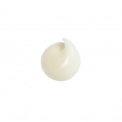 HAIR RITUEL by Sisley Soin Lavant Antipelliculaire Apaisant  Soin Lavant Antipelliculaire Apaisant