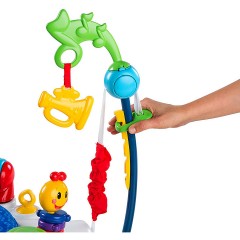 Baby Einstein Baby Einstein Малыш Эйнштейн