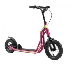 Star Scooter Roller 10\/12 Zoll Mixed Ролик 10/12 дюймов смешанный