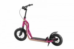 Star Scooter Roller 10\/12 Zoll Mixed Ролик 10/12 дюймов смешанный
