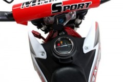 Actionbikes Motors Kinder Elektromotorrad Crossbike Gazelle Детский электромотоцикл Crossbike Gazelle