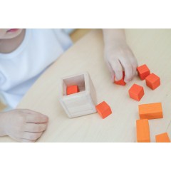 PLANTOYS Motorik Essential Serie: Knobelwurfel Motorikspielzeug Motor Skills Essential Series: кубики-головоломки