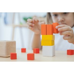 PLANTOYS Motorik Essential Serie: Knobelwurfel Motorikspielzeug Motor Skills Essential Series: кубики-головоломки