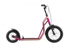 Star Scooter Roller 12\/16 Zoll Mixed Скутер 12/16 дюймов смешанный
