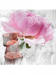 BYREDO Le Corps Blanche Körperpflegeset Подарочный набор &quot;Blanche&quot; для тела: лосьон и средство для душа