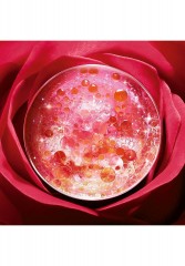LANCOME LANCOME ABSOLUE SOFT CREAM NACHFULLKAPSEL Gesichtscreme - LANCOME ABSOLUE SOFT CREAM REFILL крем для лица