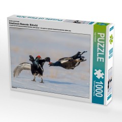 CALVENDO Puzzle CALVENDO Puzzle Emotionale Momente: Birkwild Пазл CALVENDO Puzzle Эмоциональные моменты: тетерев