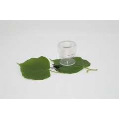 Edu-Toys 2 Stuck 5x vergrossernde Becherlupe zweiteilig 2 шт.