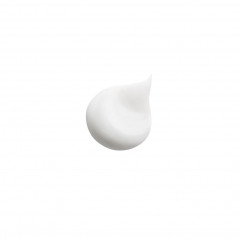 HAIR RITUEL by Sisley Soin Lavant Revitalisant Volumateur a l#x27;Huile de Camelia  Soin Lavant Revitalisant Volumateur с l#x27;Huile de Camelia