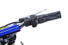 Actionbikes Motors Elektro-Kindermotorrad »Gepard« Электрический детский мотоцикл »Gepard«