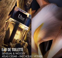 Dior Homme Limitierte Edition Eau de Toilette und Travel Spray Duftset Подарочный набор для мужчин Dior Homme: Туалетная вода 100мл + 10мл 