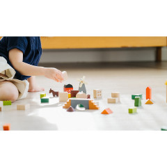 PLANTOYS Planworld Spielklotze Dorf Bausteine Игрушка Planworld блокирует деревенские строительные блоки