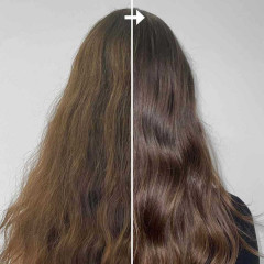 VENICE 10 Second Treatment Dream Hair Gloss Silk & Shine 10 Second Treatment Dream Блеск для Волос Шелк и Сияние