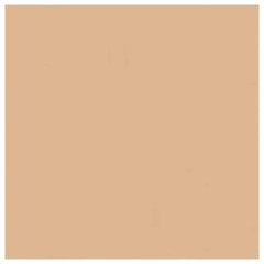 DIOR Cushion Powder 020 Light Порошок для подушки