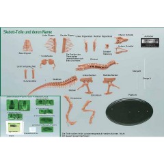 Edu-Toys Dinosaurier T-Rex Bausatz 30 cm mit Fossilien Набор динозавров T-Rex 30 см с окаменелостями