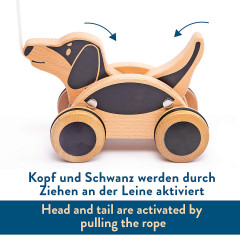 IGGY IGGY Nachziehhund Игги тянет собаку