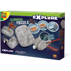 SES Creative Leuchtende Fossilien Светящиеся окаменелости