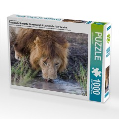 CALVENDO Puzzle CALVENDO Puzzle Emotionale Momente: Lowenkampf  Lowenliebe \/ CH-Version Пазл CALVENDO Puzzle Эмоциональные моменты: бой льва лев любовь / версия CH
