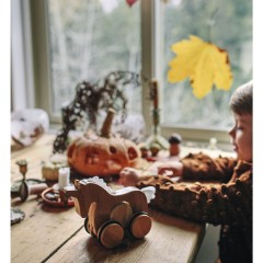 Kinderfeets Bamboo Ziehtier Einhorn Бамбуковый единорог