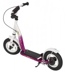 Star Scooter Roller 10 Zoll Classic Скутер 10 дюймов Classic