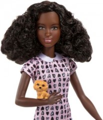 Mattel Barbie Tierfotografin Puppe (brunett)  Hund inkl. Zubehor Барби, анималист, кукла (брюнетка), собака, включая аксессуары