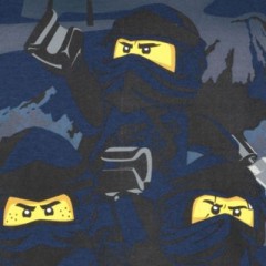 LEGO Langarmshirt fur Jungen Рубашка с длинным рукавом для мальчиков