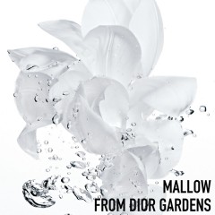 DIOR 2 In 1 Sorbet Water  2 в 1 сорбетная вода