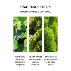 Molton Brown Coastal Cypress &amp; Sea Fennel Bath &amp; Shower Gel  Гель для ванны и душа «Прибрежный кипарис и морской фенхель»