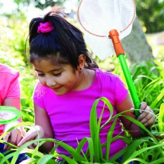 Edu-Toys Insektenfangset mit Taschenmikroskop Набор для ловли насекомых с карманным микроскопом