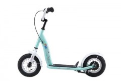 Star Scooter Roller 10 Zoll Classic Скутер 10 дюймов Classic
