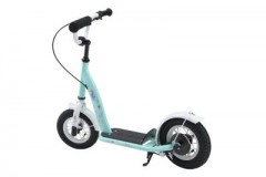 Star Scooter Roller 10 Zoll Classic Скутер 10 дюймов Classic