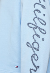 Tommy Hilfiger ROPE PUFF PRINT Sweatshirt vessel blue ПРИНТ ROPE PUFF Толстовка сосуд синий