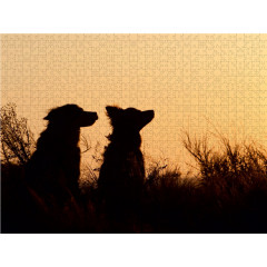CALVENDO Puzzle CALVENDO Puzzle Australian Shepherds im Spiel des Lichts Пазл CALVENDO Пазл Австралийские овчарки в игре света