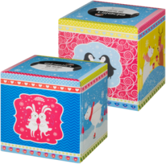 ebelin Салфетки для лица Box &quot;Süsse Eiszeit&quot;, 100 шт