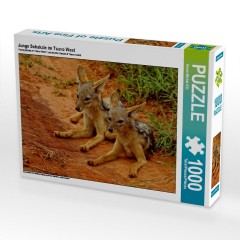CALVENDO Puzzle CALVENDO Puzzle Junge Schakale im Tsavo West Пазл CALVENDO Puzzle Молодые шакалы в Цаво Вест