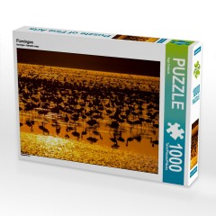 CALVENDO Puzzle CALVENDO Puzzle Flamingos Пазл CALVENDO Пазл фламинго