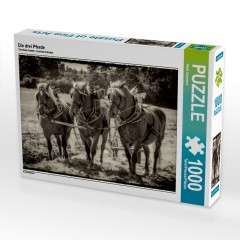 CALVENDO Puzzle CALVENDO Puzzle Die drei Pferde Пазл CALVENDO Пазл Три лошади