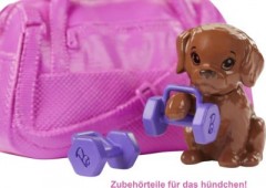 Mattel Barbie Wellness Fitness Puppe und Spielset mit Hundchen und 9 Zubehorteilen Кукла Barbie Wellness Fitness и игровой набор со щенком и 9 аксессуарами