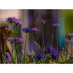CALVENDO Puzzle CALVENDO Puzzle Lila Blumen Пазл CALVENDO Puzzle Фиолетовые цветы