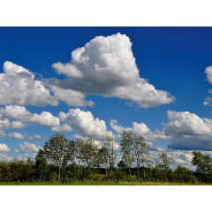 CALVENDO Puzzle CALVENDO Puzzle Schonwetter Wolken Пазл CALVENDO Пазл хорошая погода облака