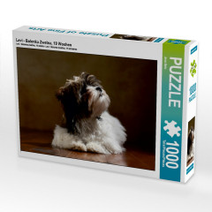 CALVENDO Puzzle CALVENDO Puzzle Levi Пазл CALVENDO Пазл Леви